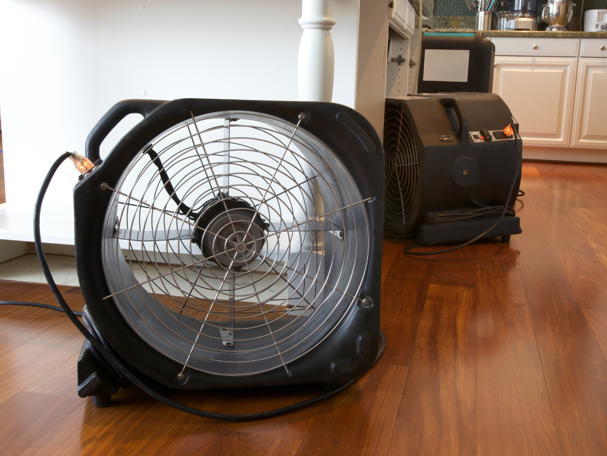 Two black industrial fans on a shiny wooden floor inside a kitchen, likely for drying.