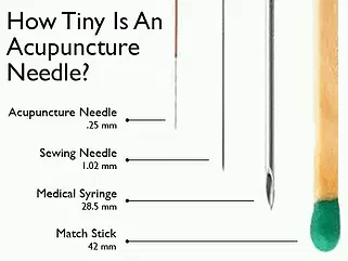 Needle Size Comparison — Paris, TN — Paris Family Chiropractic & Acupuncture