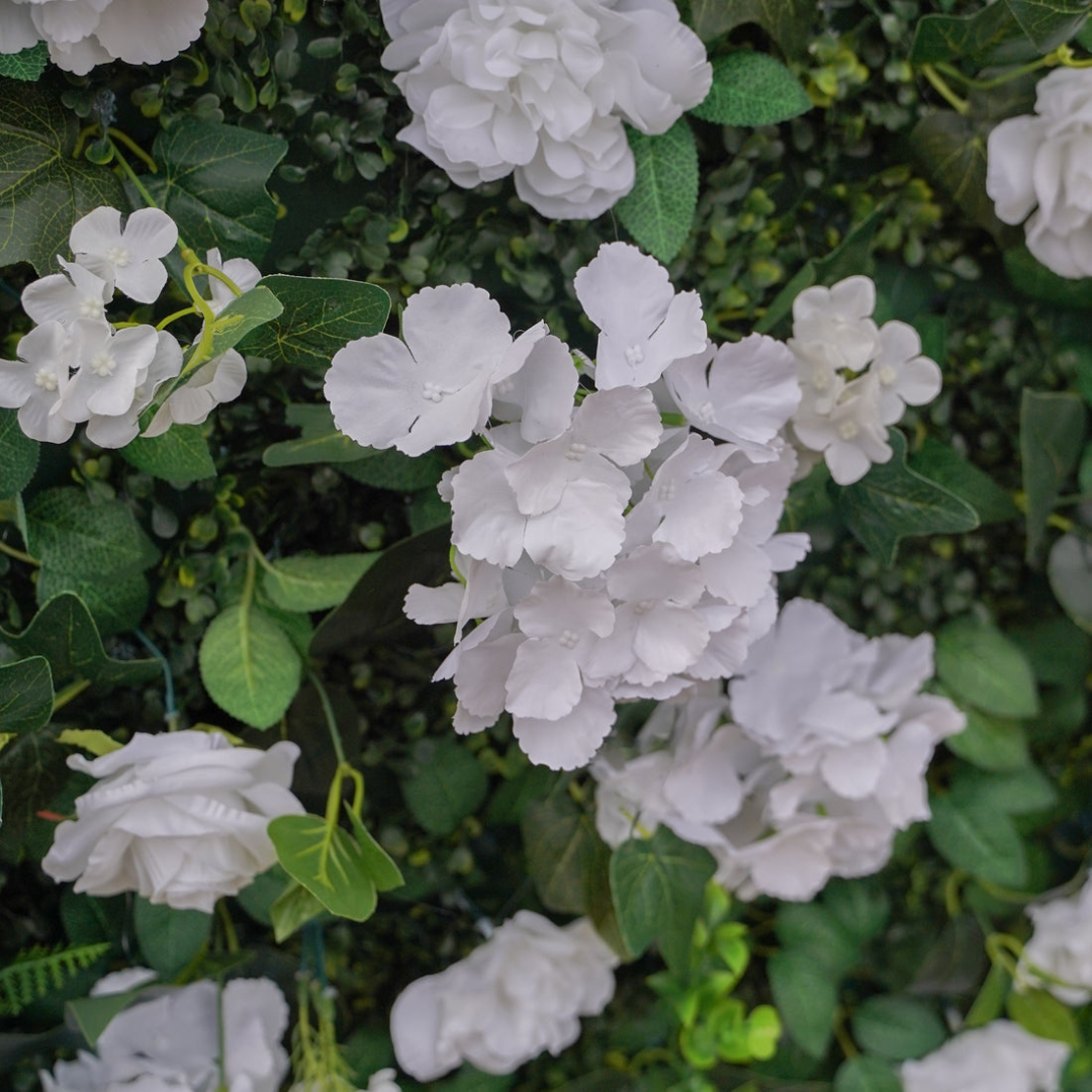 Green and white flower wall