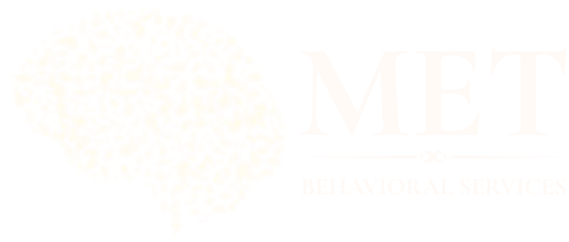 MET Behavioral Services logo