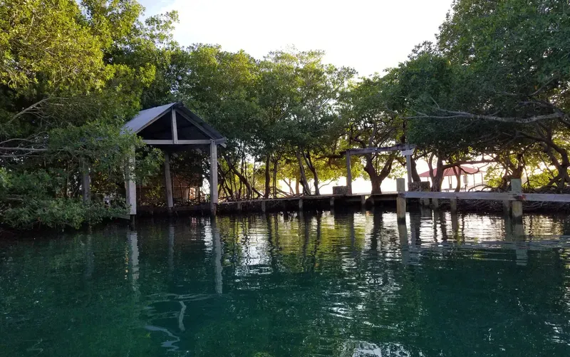 A dock in the middle of a body of water surrounded by trees.