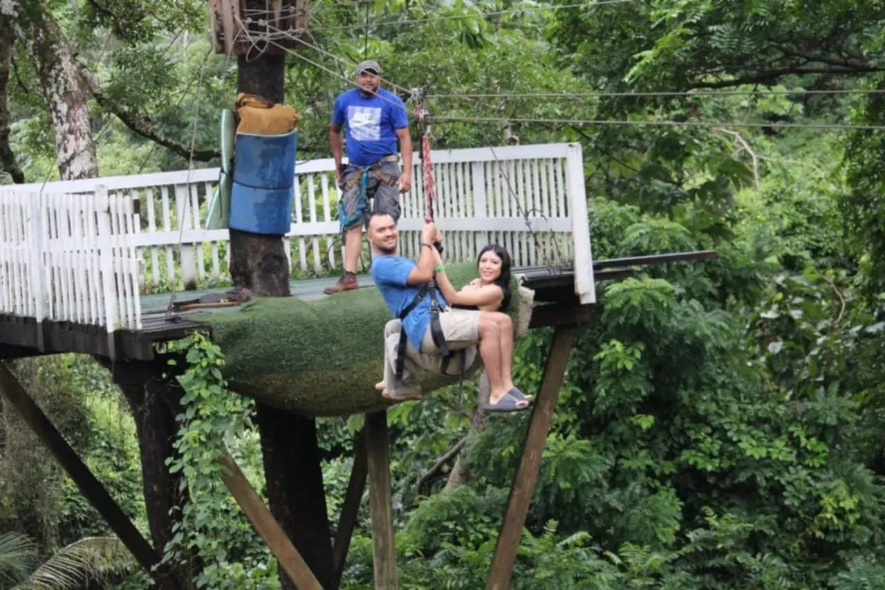 A man and a woman are riding a zip line in the woods.