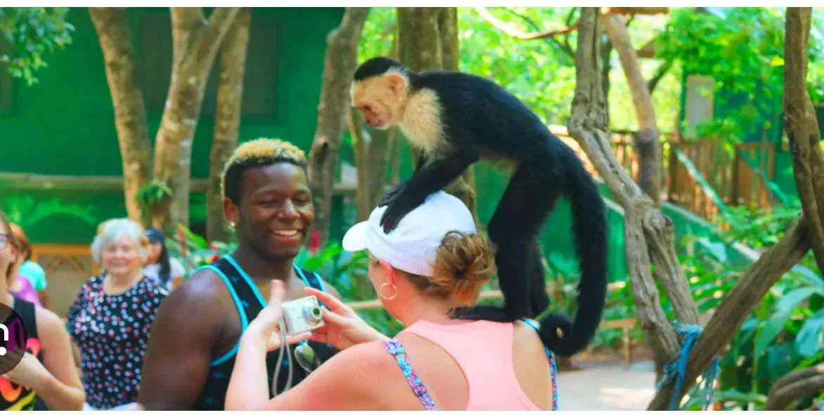 A woman is taking a picture of a man and a monkey.