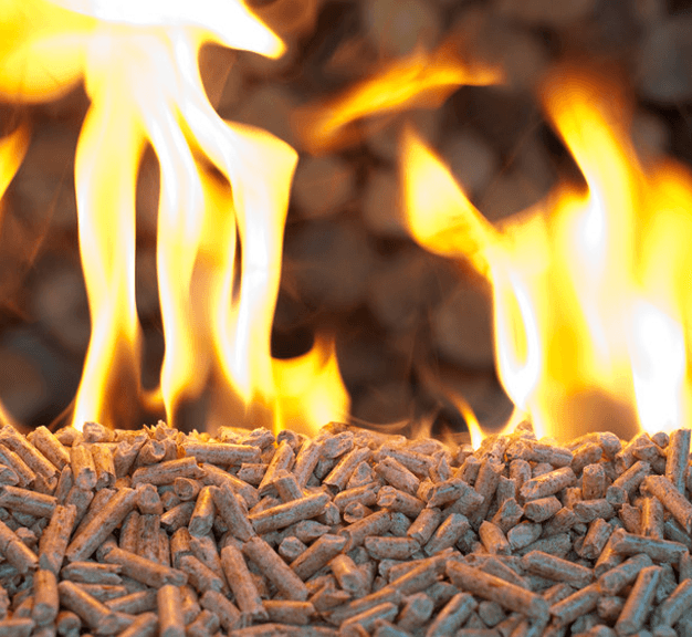 biomass finance
