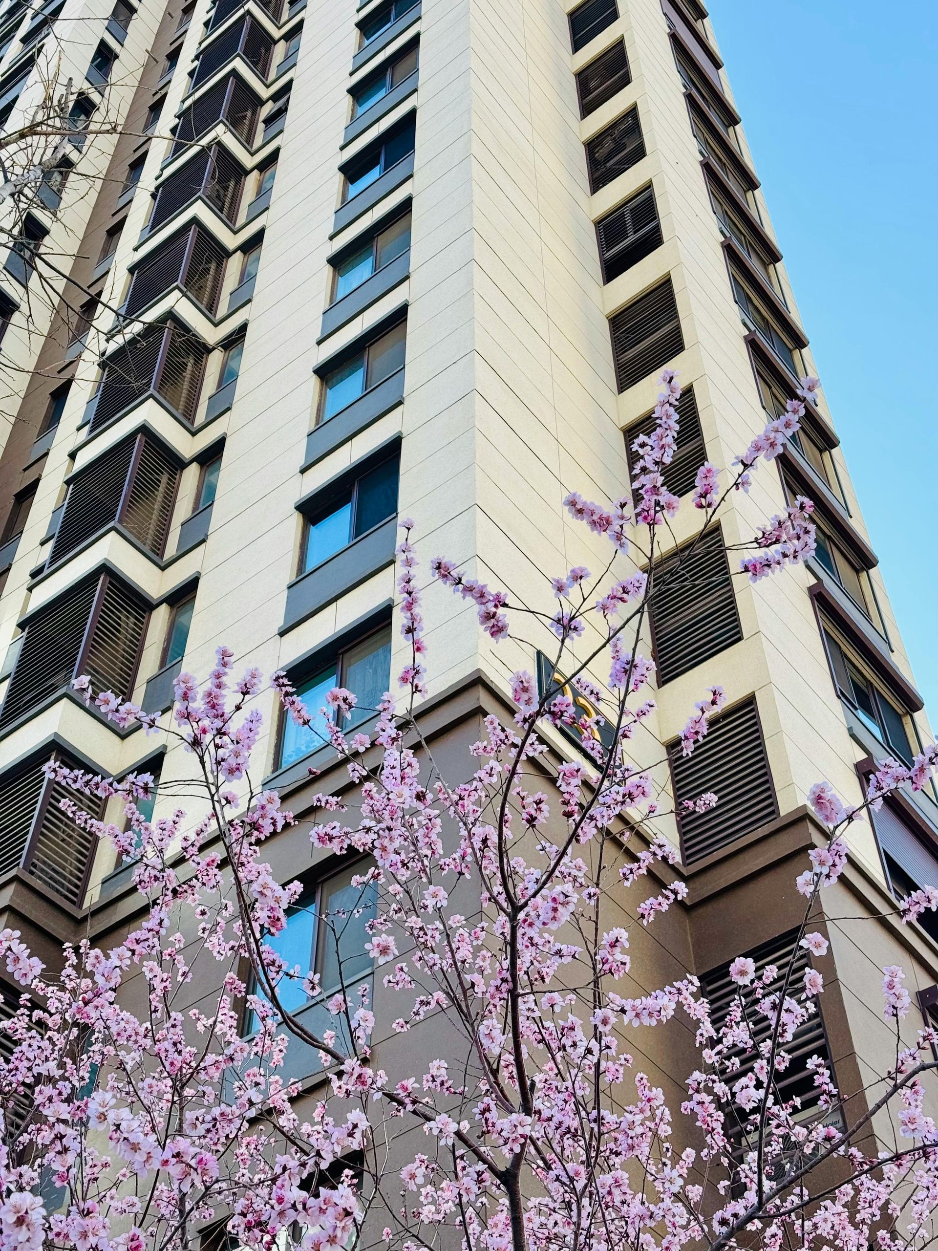 Un edificio alto con flores moradas en el frente.