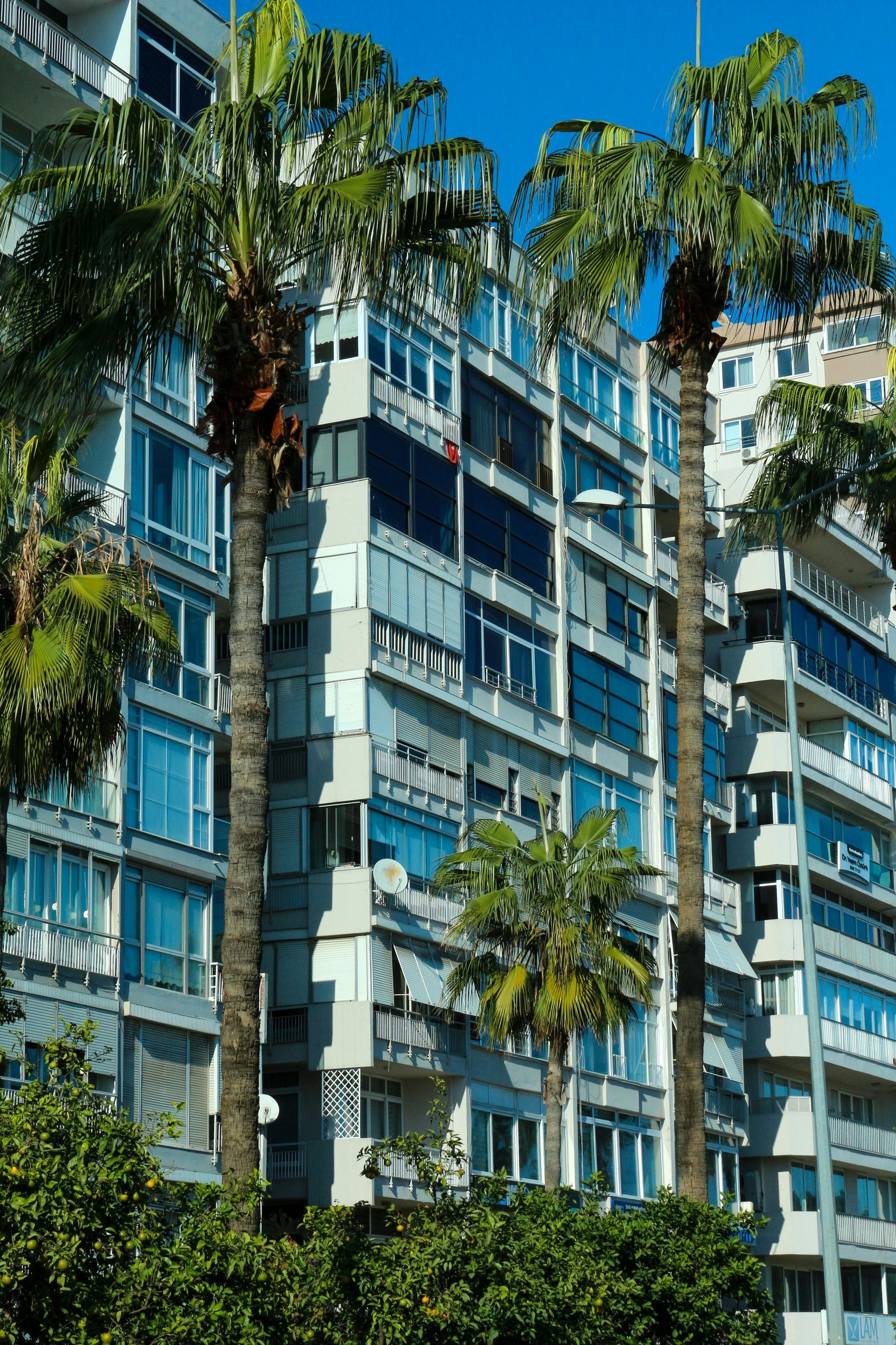 Un edificio alto con palmeras delante.