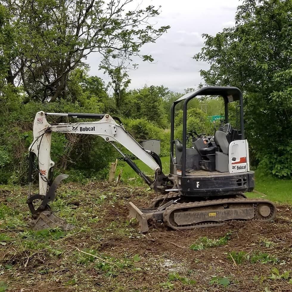 A Bobcat mini excavator on a dirt patch, clearing brush near trees.