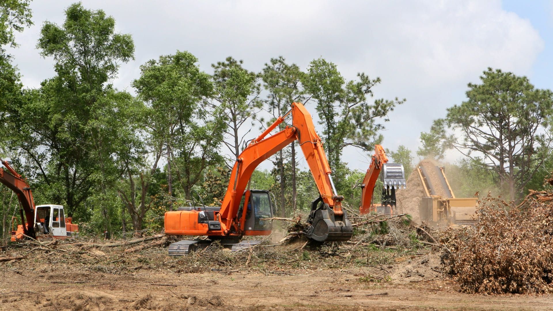 Orange excavator clearing trees in a wooded area with a wood chipper in the background.