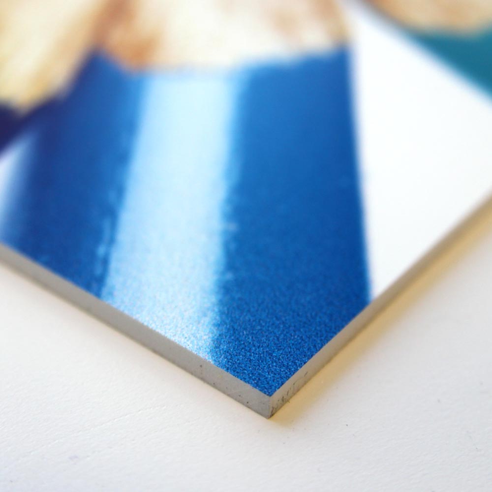 Printed Foam Board Panels Print