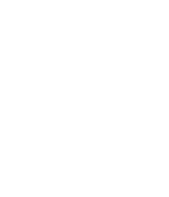 Non-Small Lung Cancer