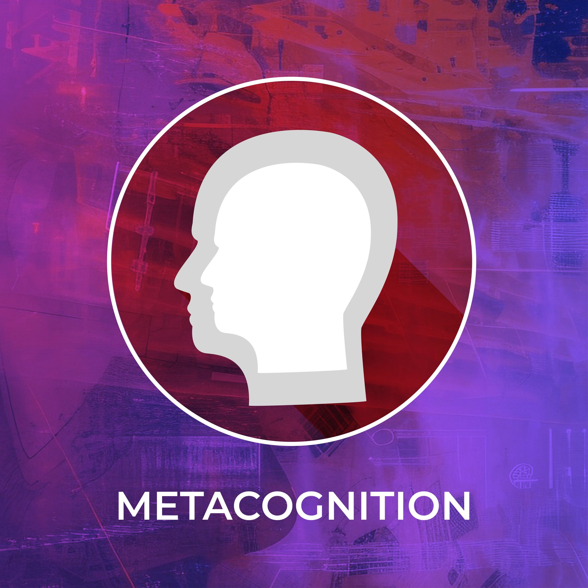 METACOGNITION