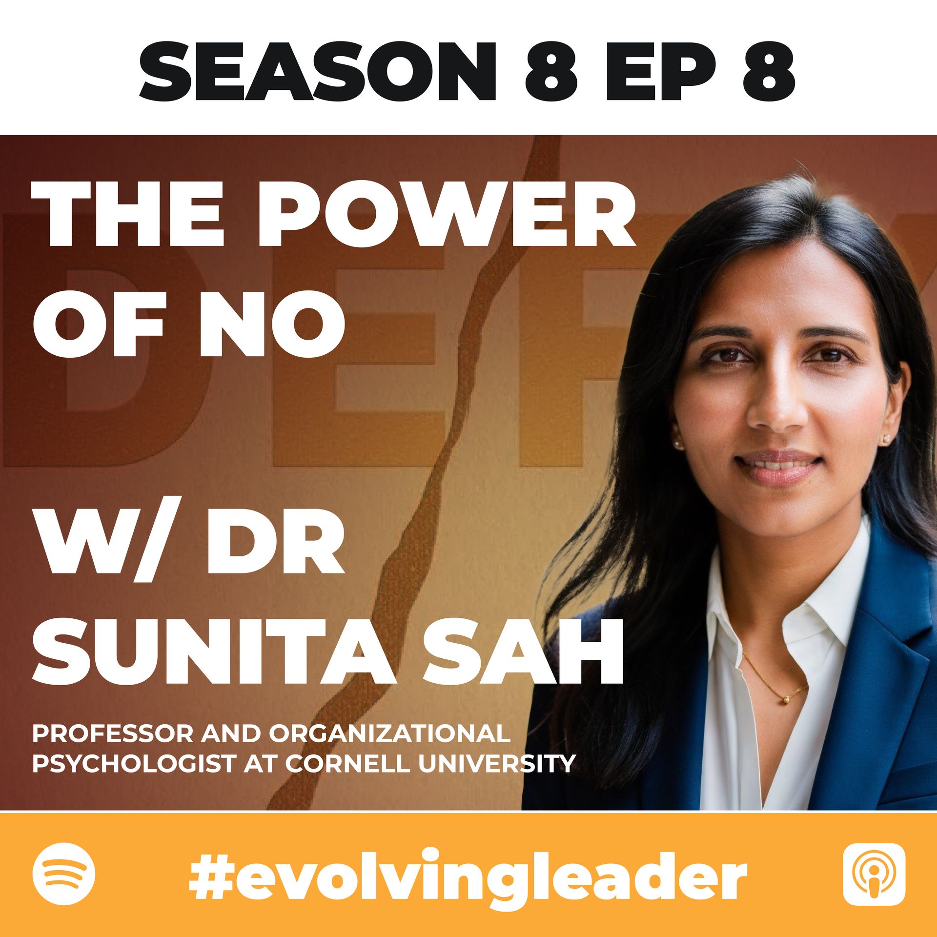 Dr Sunita Sah on The Evolving Leader podcast