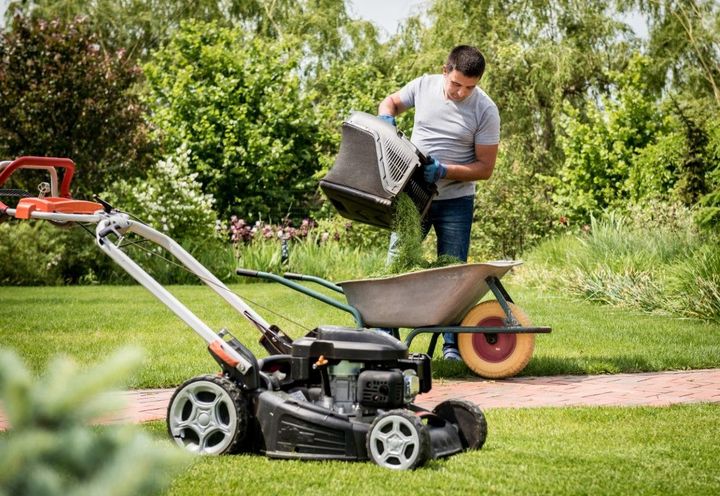 An image of lawn care & maintenance services in Brookline, MA