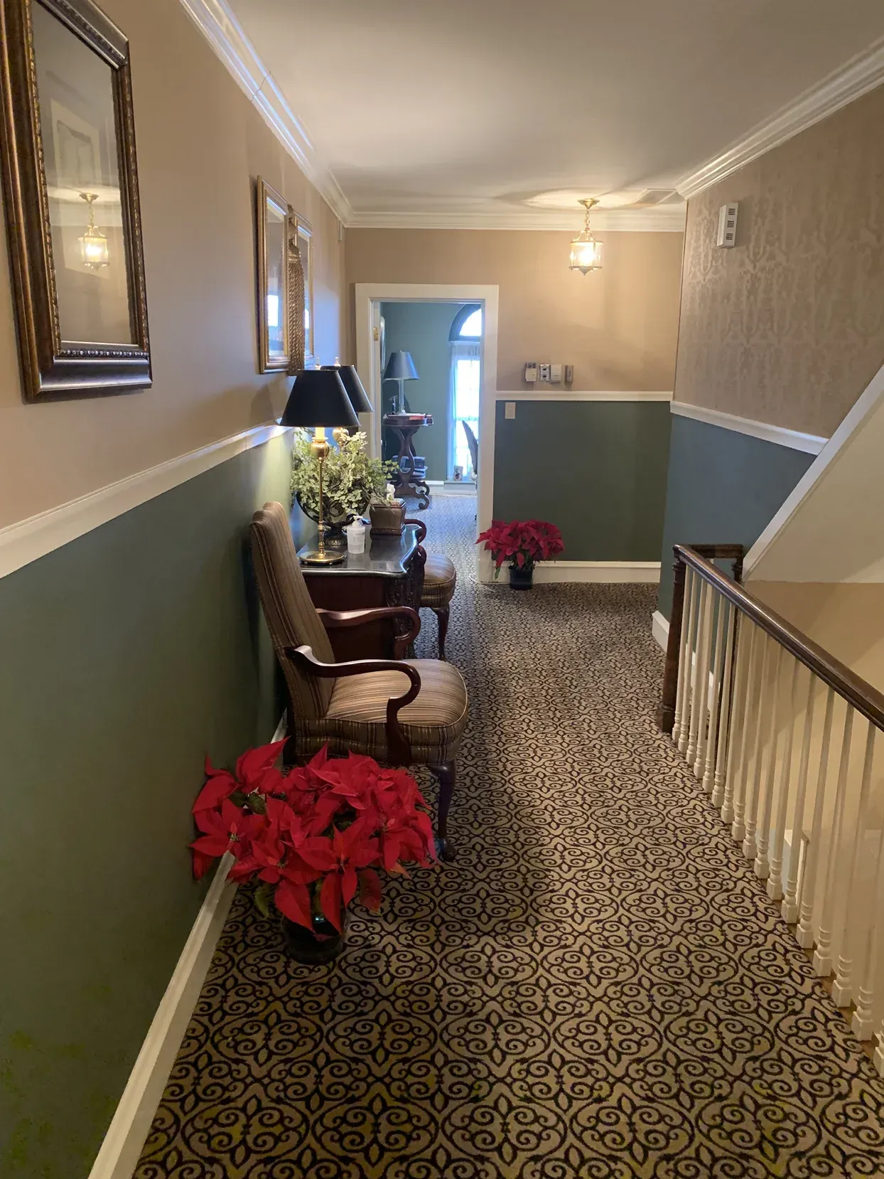 A carpeted hallway with sage green walls, a patterned armchair, poinsettias, and an open doorway leading to another room.
