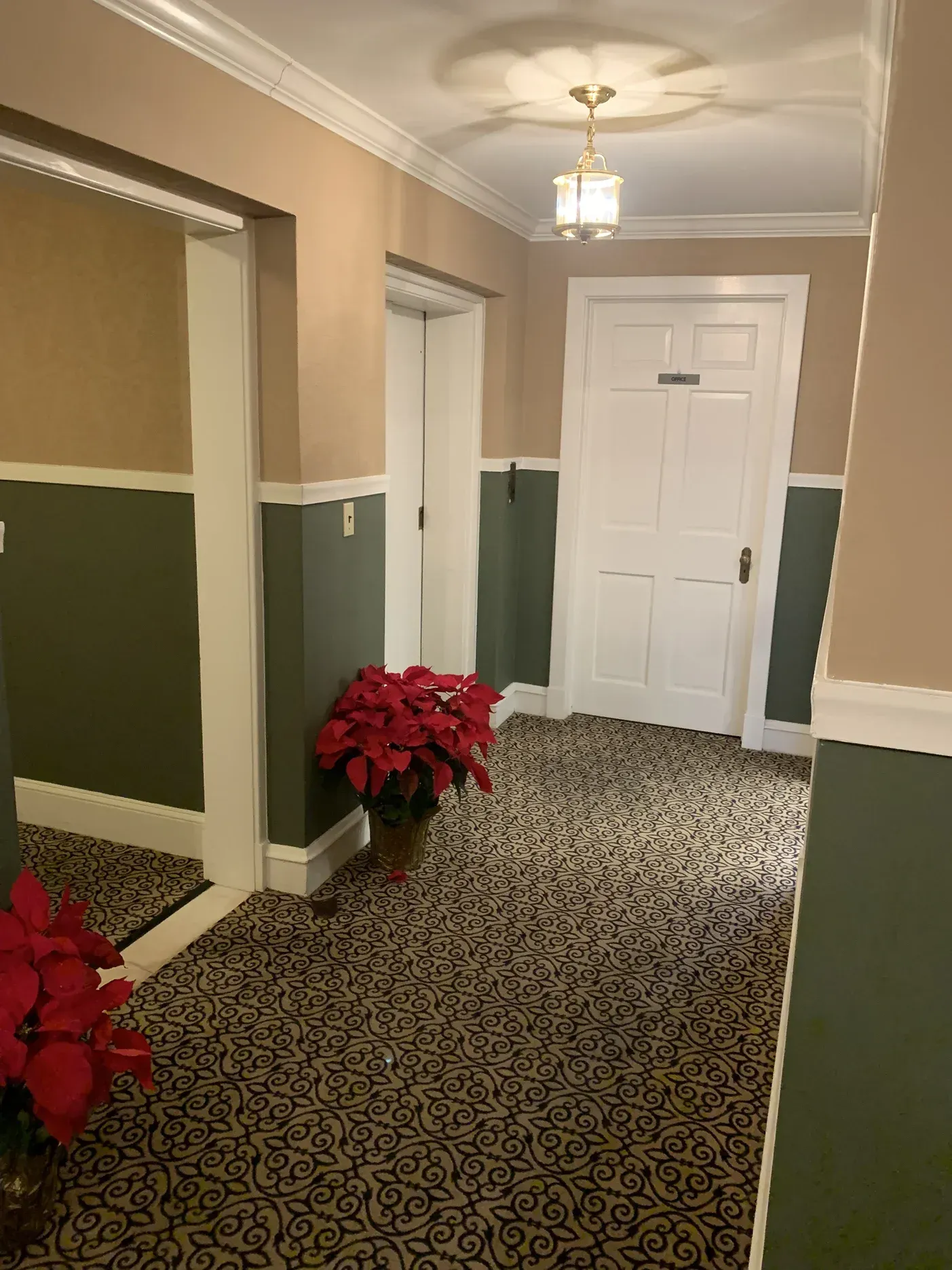 A hallway with beige walls over green wainscoting, patterned carpet, a ceiling light, and potted red poinsettias.