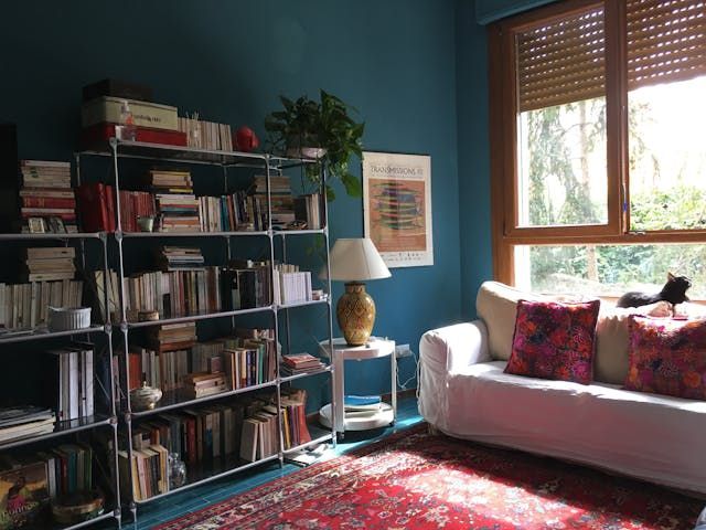 a living room with blue walls and a large bookshelf