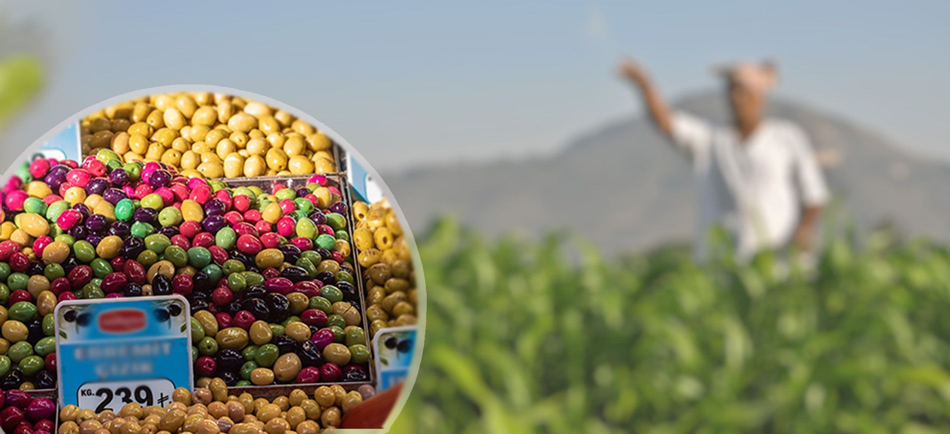 East Asia’s fertilizer uses and demand for sustainable agriculture in 2025