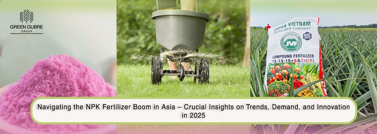 Navigating the NPK Fertilizer Boom in Asia – Crucial Insights on Trends, Demand, and Innovation in 2025