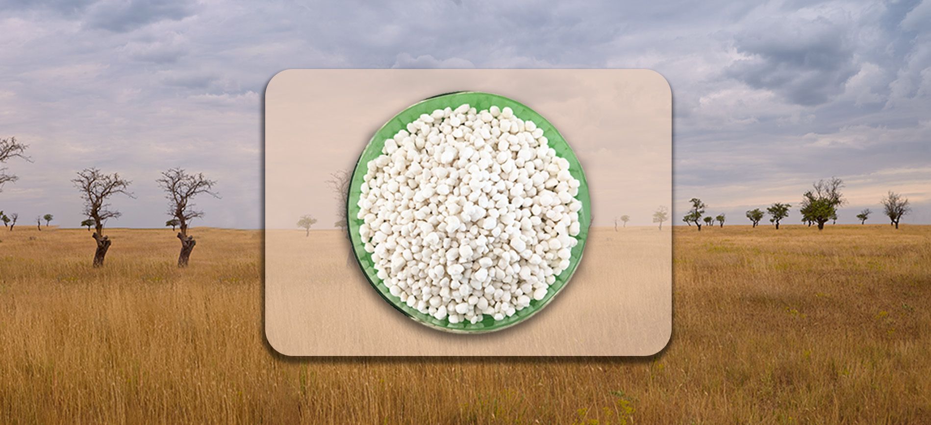 Granular urea logistics and policy map across African fertilizer markets