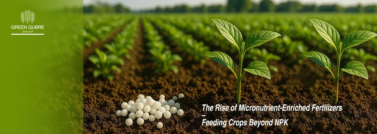 The Rise of Micronutrient-Enriched Fertilizers – Feeding Crops Beyond NPK