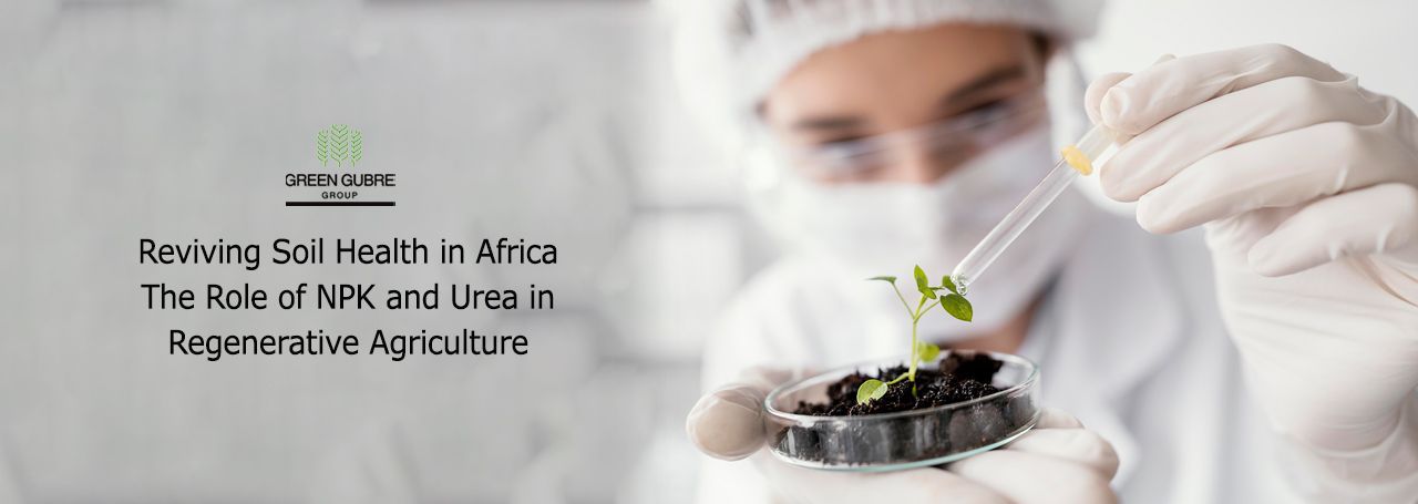 Reviving Soil Health in Africa – The Role of NPK and Urea in Regenerative Agriculture