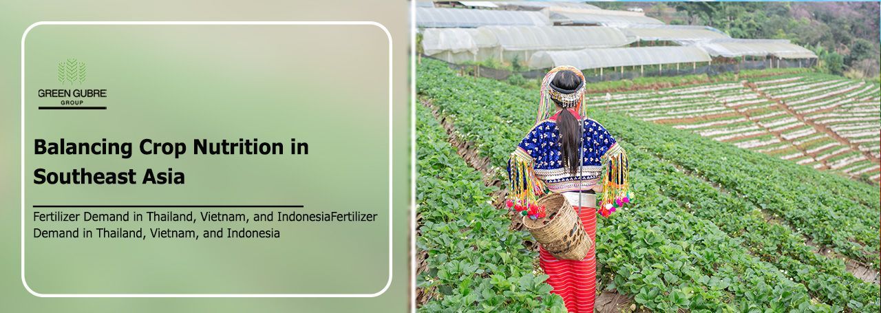 Balancing Crop Nutrition in Southeast Asia – Fertilizer Demand in Thailand, Vietnam, and Indonesia