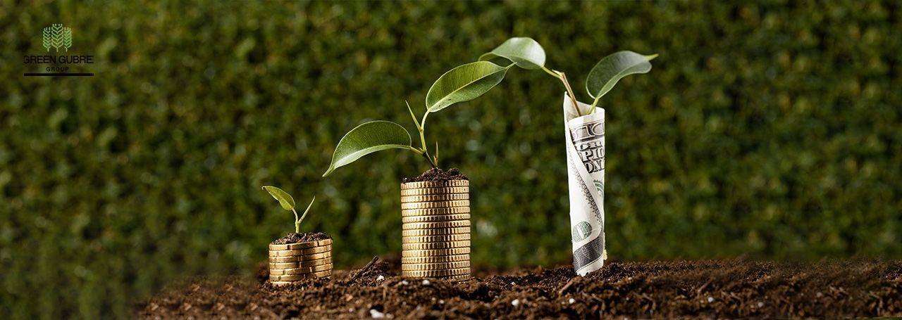  Fertilizer Pricing in 2025 – Market Volatility, Global Supply Chains, and Seasonal Forecasts