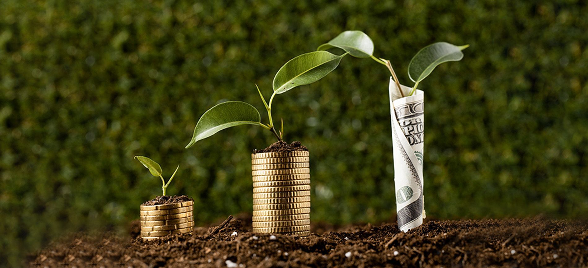 Global fertilizer market map showing urea and NPK prices in 2025
