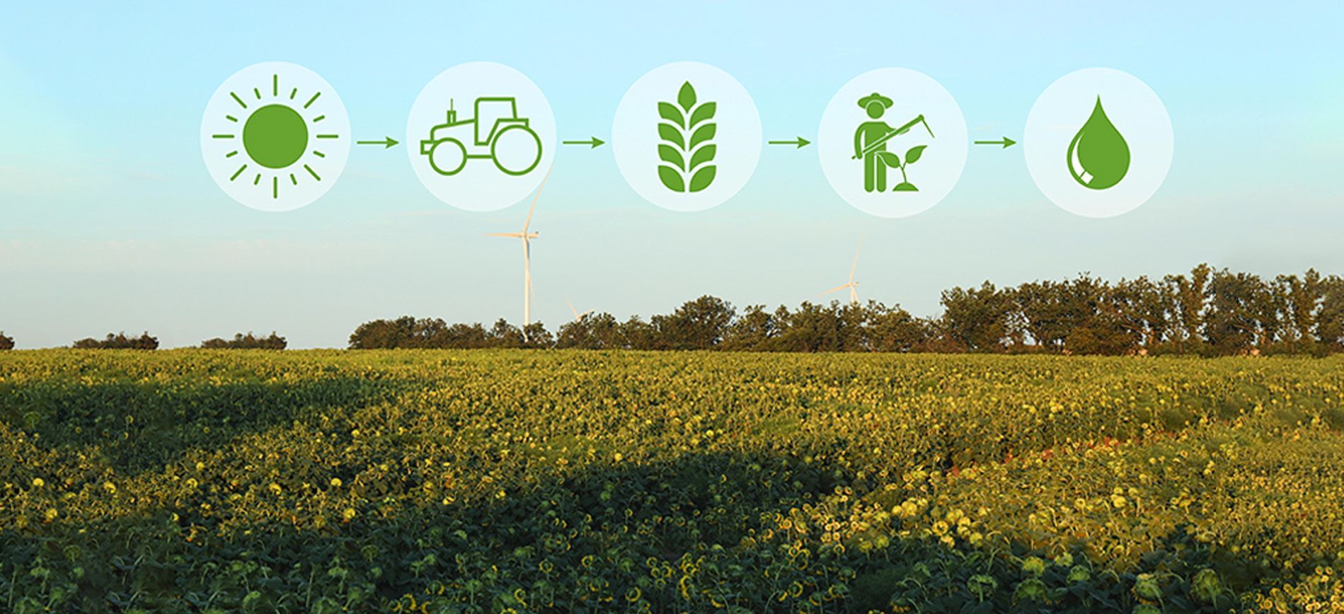 Graph showing EU CBAM compliance timeline for fertilizer imports