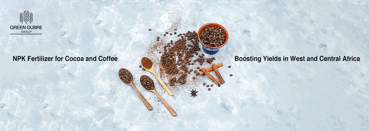 NPK Fertilizer for Cocoa and Coffee – Boosting Yields in West and Central Africa