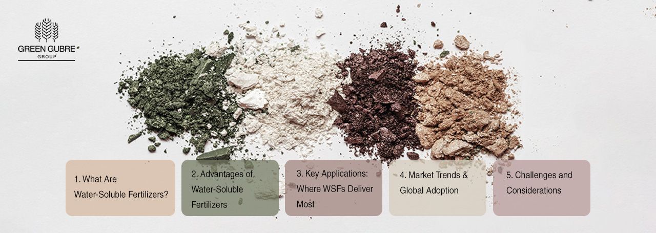 Water-Soluble Fertilizers – Precision Nutrition for High-Value Crops