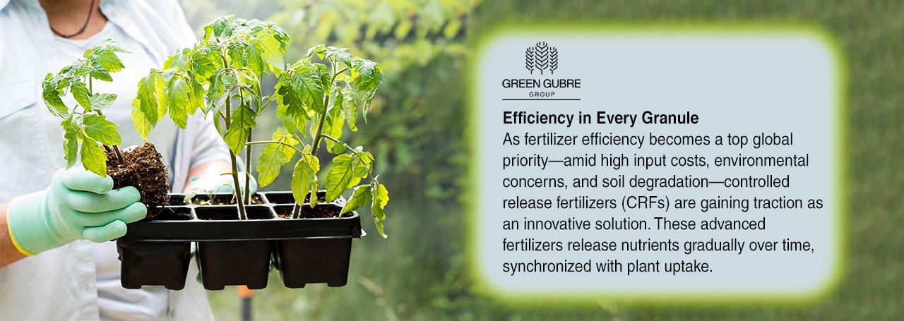 Controlled-Release Fertilizers – Smarter Nutrition for Sustainable Agriculture