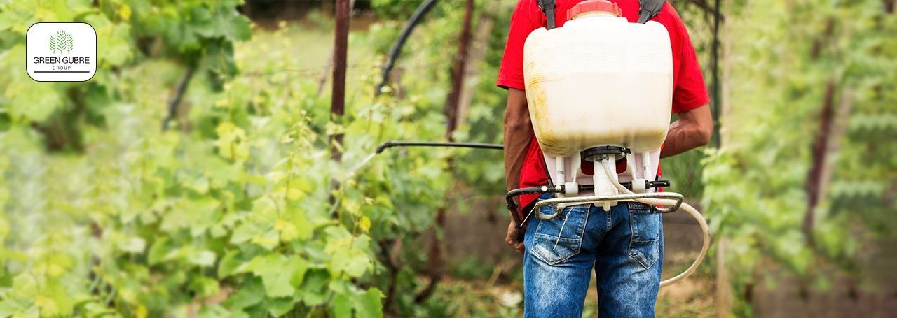 Liquid Fertilizers – Fast-Acting Nutrition for Intensive Farming