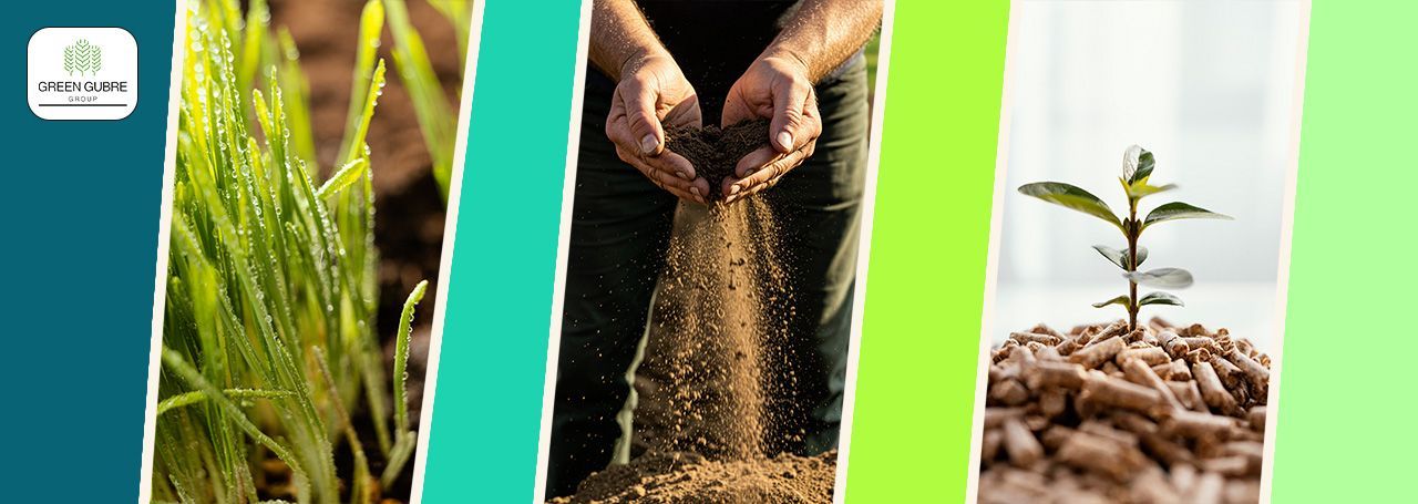 Micronutrient Fertilizers – Small Elements, Big Impact on Yield