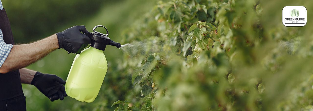 Foliar Fertilizers – Direct Nutrition for Rapid Response