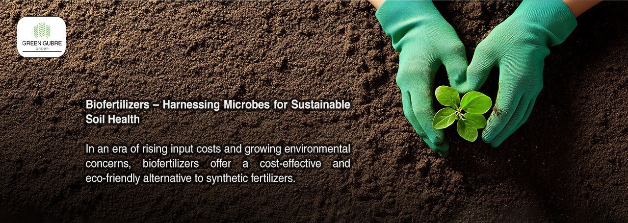 Biofertilizers – Harnessing Microbes for Sustainable Soil Health