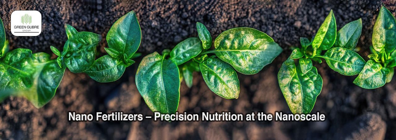 Nano Fertilizers – Precision Nutrition at the Nanoscale