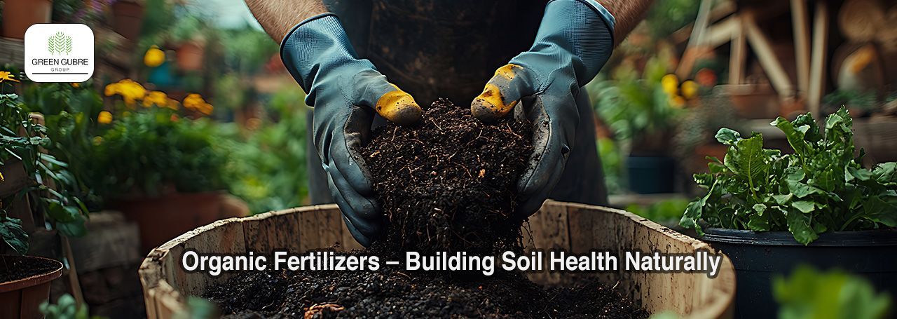 Organic Fertilizers – Building Soil Health Naturally