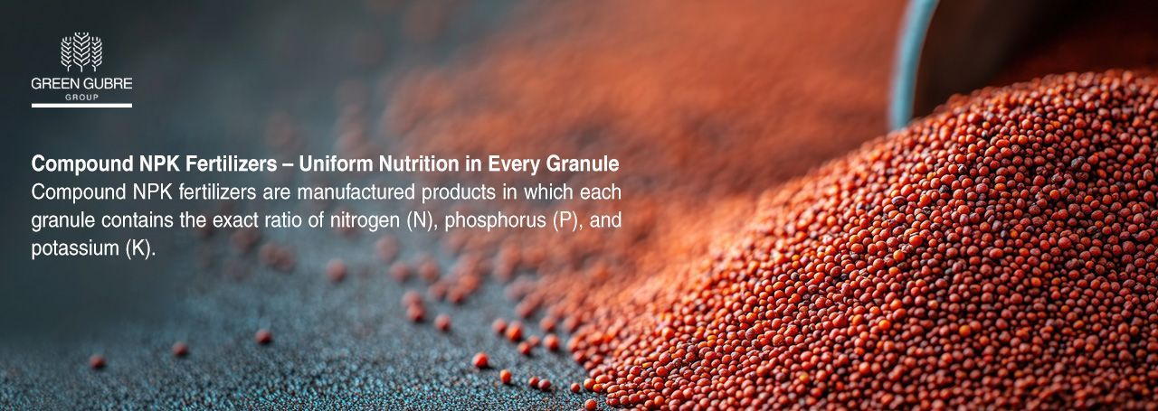 Compound NPK Fertilizers – Uniform Nutrition in Every Granule