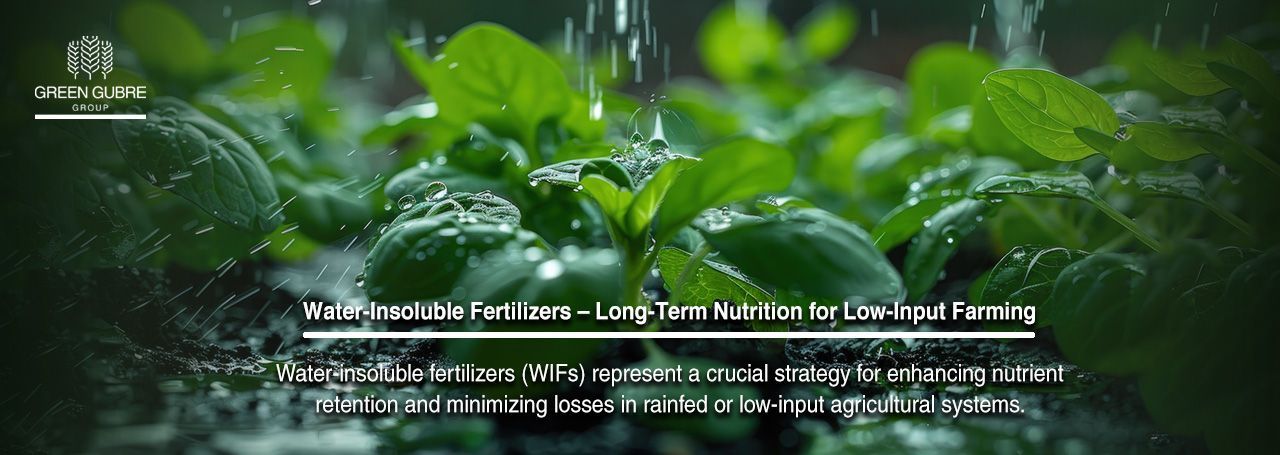 Water-Insoluble Fertilizers – Long-Term Nutrition for Low-Input Farming