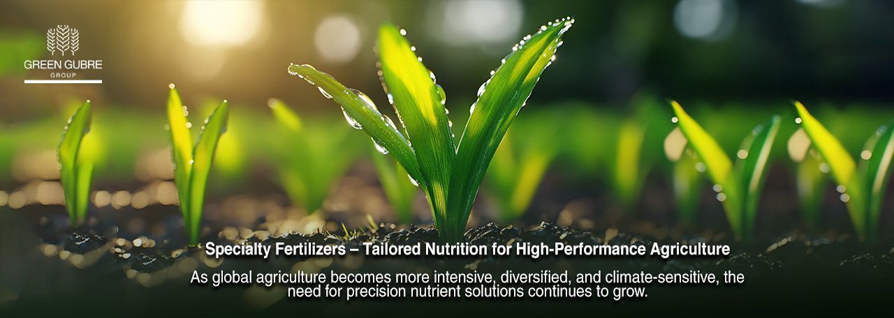 Specialty Fertilizers – Tailored Nutrition for High-Performance Agriculture