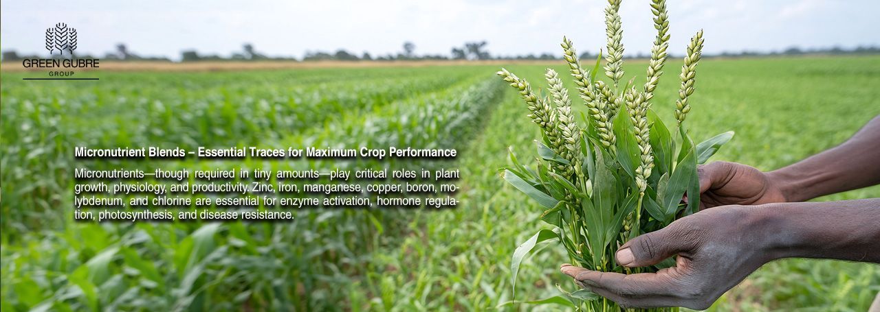 Micronutrient Blends – Essential Traces for Maximum Crop Performance