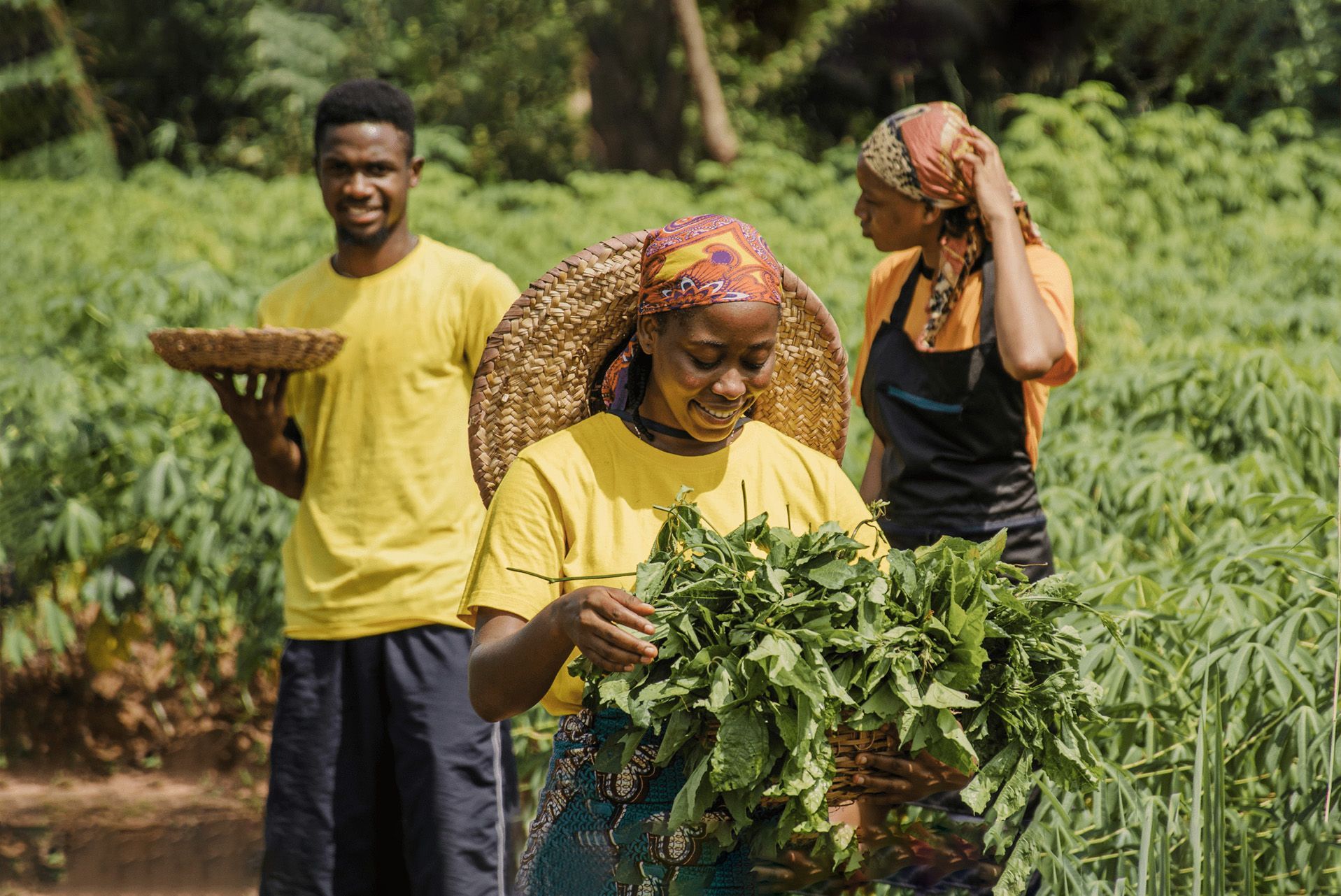 Empowering Growth and Sustainability in Africa with Green Gubre Group’s Solutions