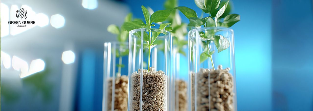 Biostimulants – Enhancing Crop Performance Beyond Nutrition