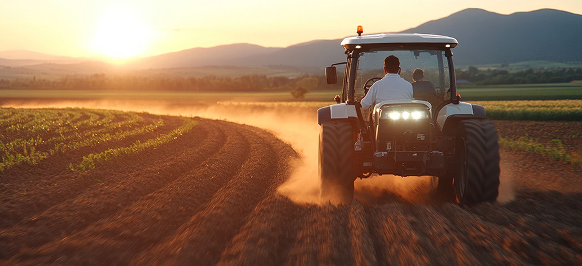 Crops treated with EEFs vs conventional fertilizer