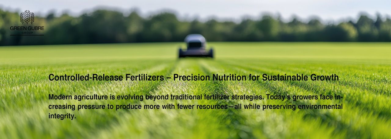 Controlled-Release Fertilizers – Precision Nutrition for Sustainable Growth