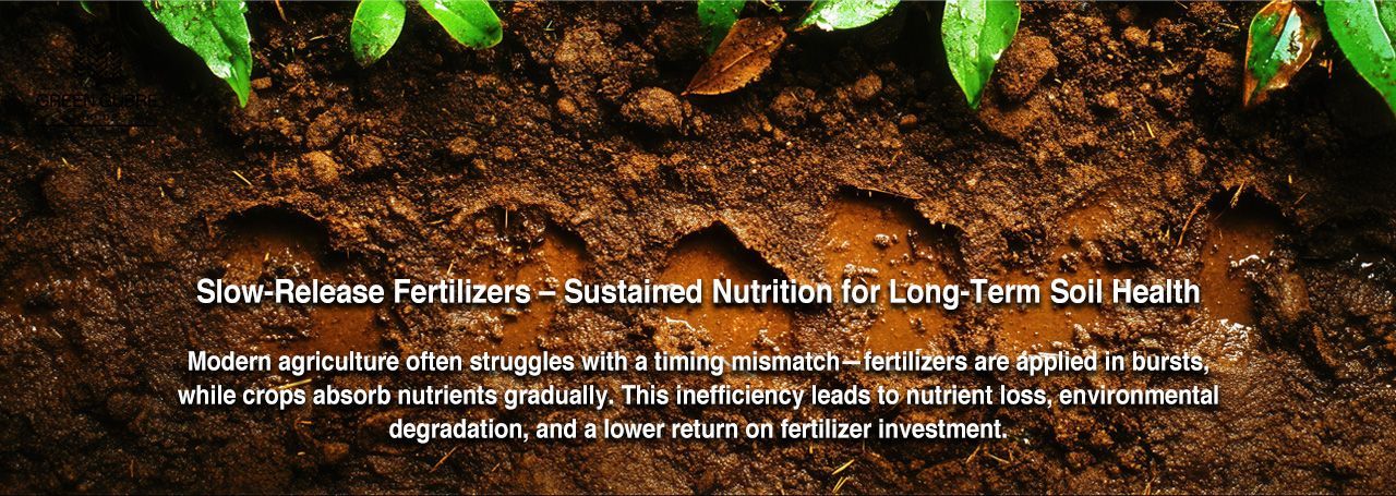 Slow-Release Fertilizers – Sustained Nutrition for Long-Term Soil Health