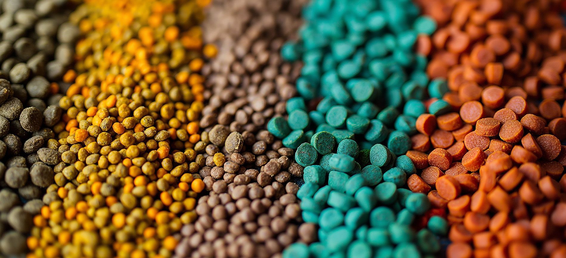  Hand holding polymer-coated fertilizer granules for precision crop nutrition.