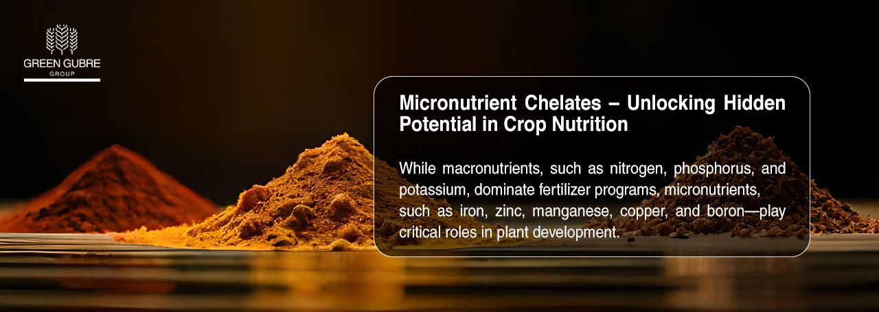 Micronutrient Chelates – Unlocking Hidden Potential in Crop Nutrition