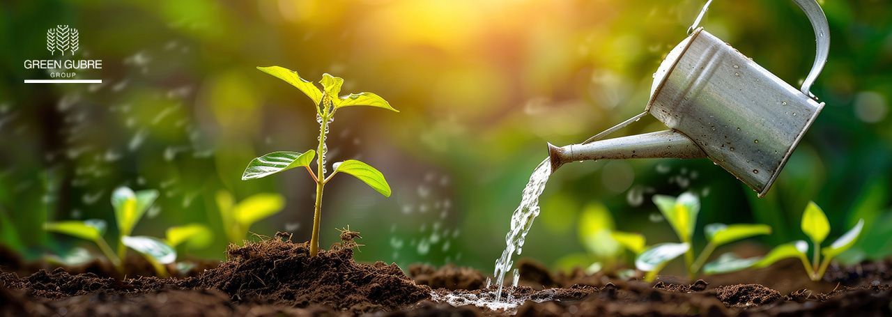 Liquid Fertilizers – Flowing Solutions for Fast and Flexible Nutrition